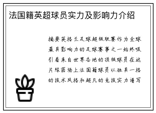 法国籍英超球员实力及影响力介绍